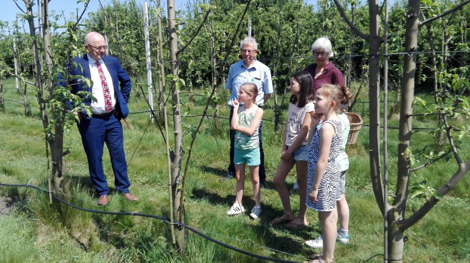 Hoe komen appels en peren aan de boom!