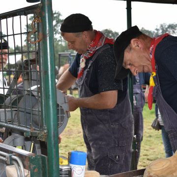 Drukke tiende Oogstdag in Boekel