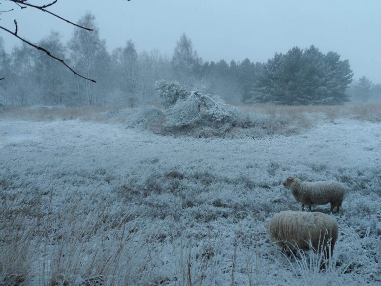 Jouw foto op de cover van Nieuwsblad Boekel – Venhorst – Huize Padua?