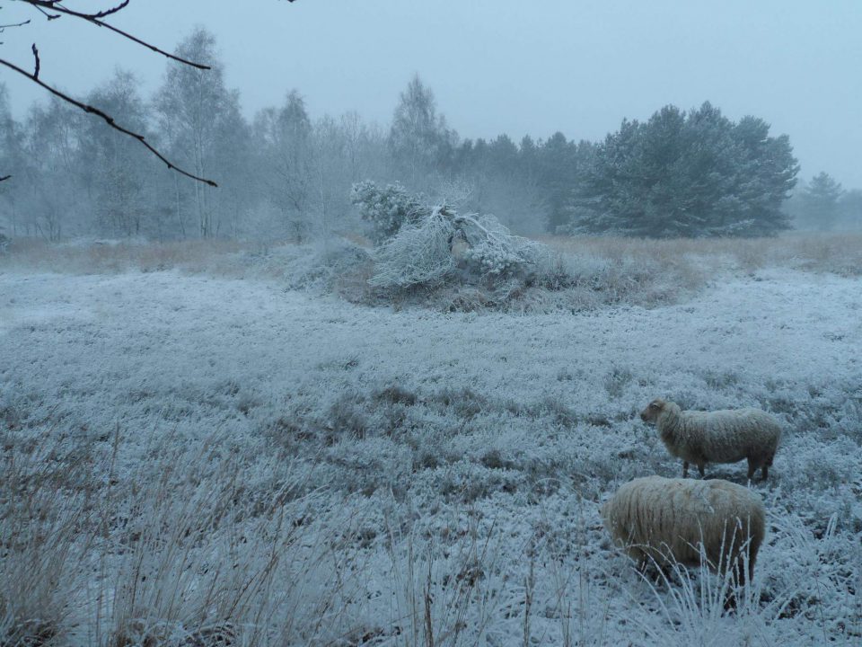 Jouw foto op de cover van Nieuwsblad Boekel – Venhorst – Huize Padua?