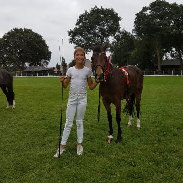 Programma Hippisch Event Boekel compleet