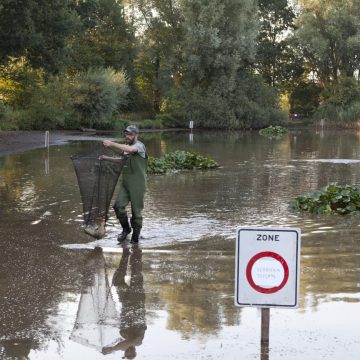 Droogte bij vijvers in Boekel [UPDATE]