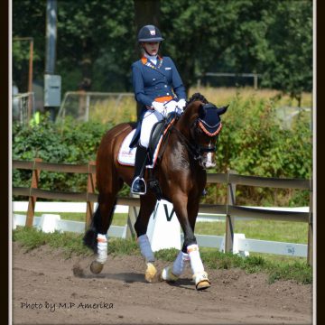 Gepast eerbetoon voor Esmée Donkers op Hippisch Event Boekel