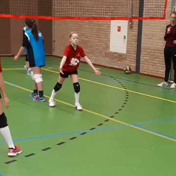 Scholentoernooi Volleybal