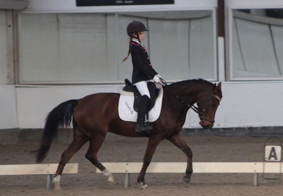 Succesvolle selectiewedstrijden voor Rutger van Herpenruiters