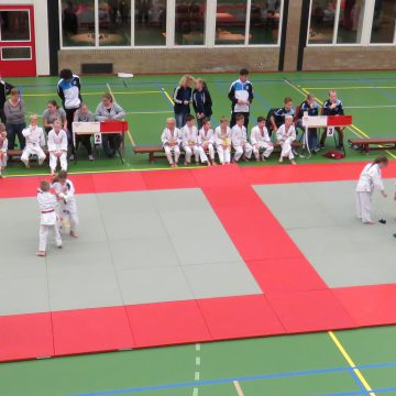 Uitslag regiotoernooi judoclub
