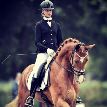 Oogsttijd voor de Rutger van Herpenruiters