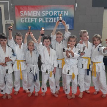Regiotoernooi judo Keldonk