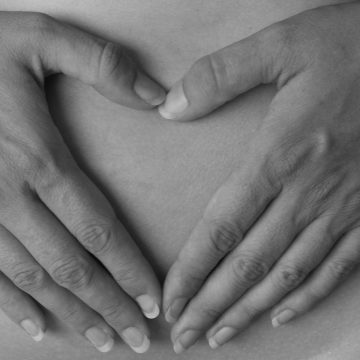 Lezing ‘De moeder de vrouw…. in vogelvlucht’