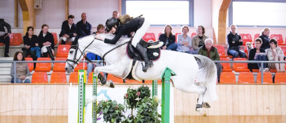 Vernieuwd bestuur Rutger van Herpenruiters ziet weer successen op de Hippiade