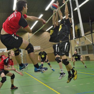 We are the champions?!?