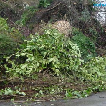 Tuinafval aanbieden weer gratis