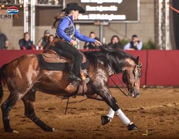 Goud voor Anne Grether NK Reining