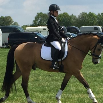 Rutger van Herpenruiters zetten de toon bij selectiewedstrijd in Mariaheide