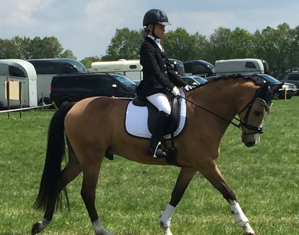 Rutger van Herpenruiters zetten de toon bij selectiewedstrijd in Mariaheide