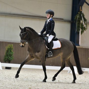 Nieuwe dressuur- en springsuccessen Rutger van Herpenruiters
