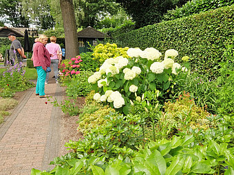 Open tuinendag in Boekel en Venhorst