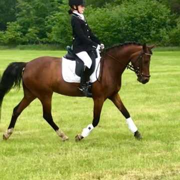 Huzarenstukjes Rutger van Herpenruiters duren voort