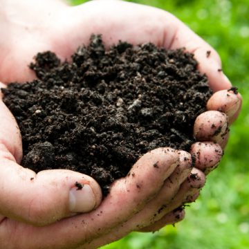 Gratis compost in oktober