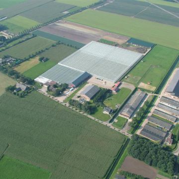 Grondruil pakt gunstig uit voor groentekweker en fietsers