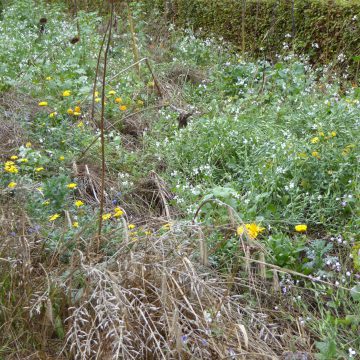 Positieve ervaringen ‘Bloemenakkers’