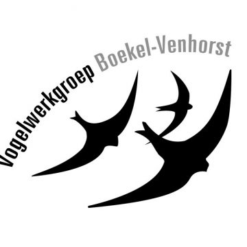 Verbeteringen Stiltegebied