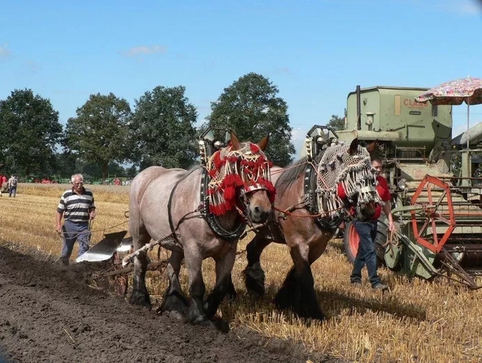 Auwerwetse Boekelse Oogstdag