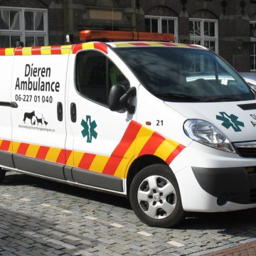 Samenwerking Hokazo en regionale Dierenambulance Brabant Noord-Oost