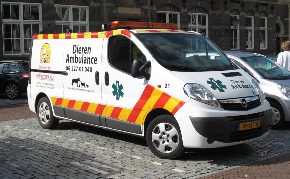 Samenwerking Hokazo en regionale Dierenambulance Brabant Noord-Oost