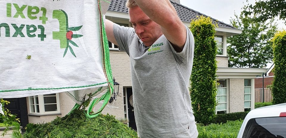 Taxussnoeisel aanmelden kan nog tot en met 10 september
