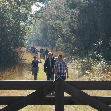 Geannuleerd: 44e Scoutwalk