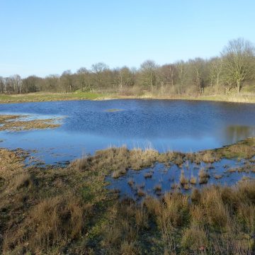 Voskuilenheuvel water in de Vennen
