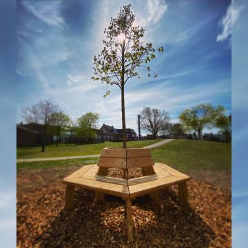 Onthulling herdenkingsboom coronaslachtoffers