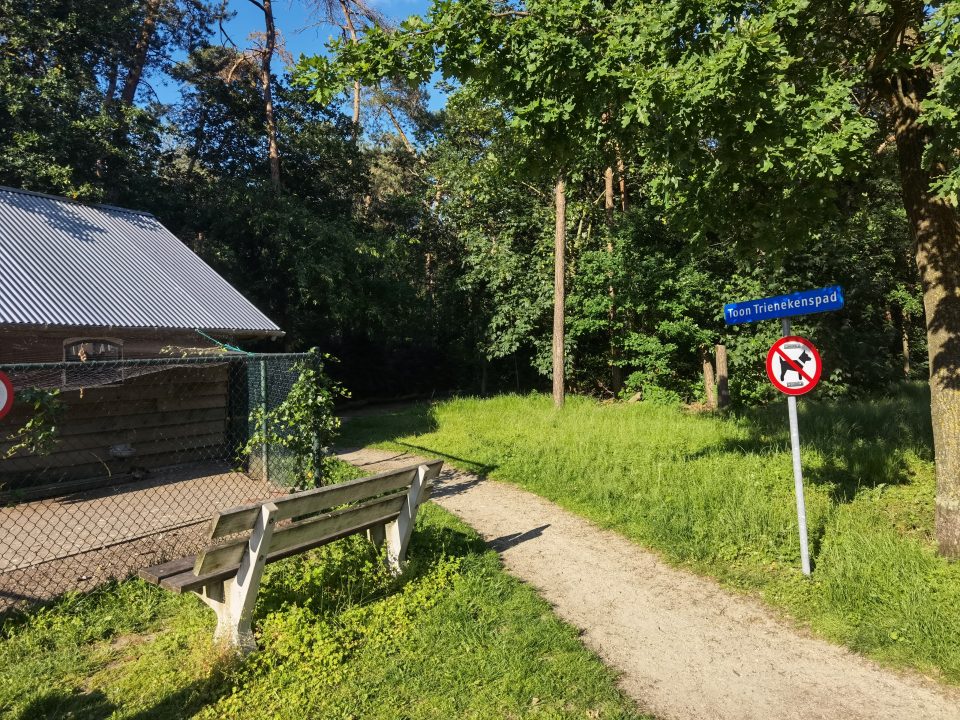 Bomen en groen in Boekel: we letten erop!