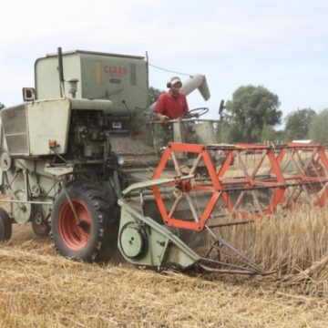 [UPDATE] Auwerwetse Boekelse Oogstdag gaat door in aangepaste vorm