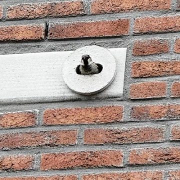 Kennissessie over natuurinclusief bouwen