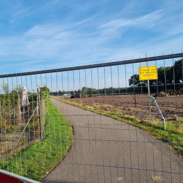 Weer een rij bomen om …