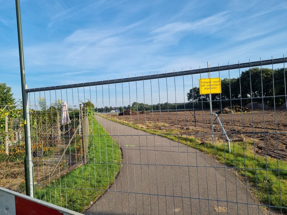 Weer een rij bomen om …