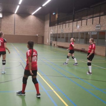 Topweekend voor VC Unitas