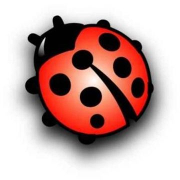 Daders mishandelde man (73) meldden zich