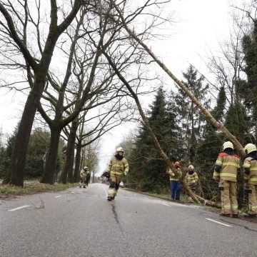 Brandweer rukt uit voor omvallende bomen