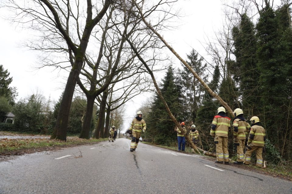 Brandweer rukt uit voor omvallende bomen