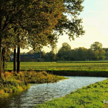 Boekel voorop: Nederland behaalt 18 miljoen inwoners