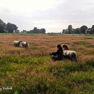 Politiek Café over buitengebied gemeente Boekel