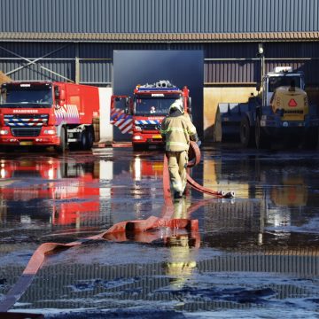 Broei in loods op De Vlonder