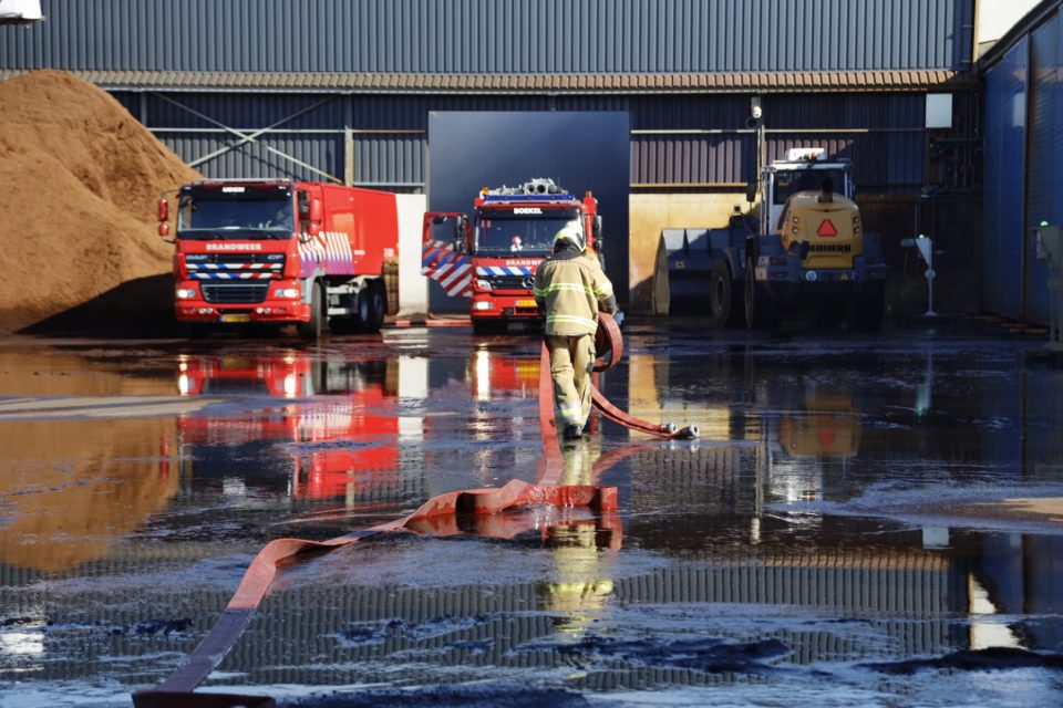 Broei in loods op De Vlonder