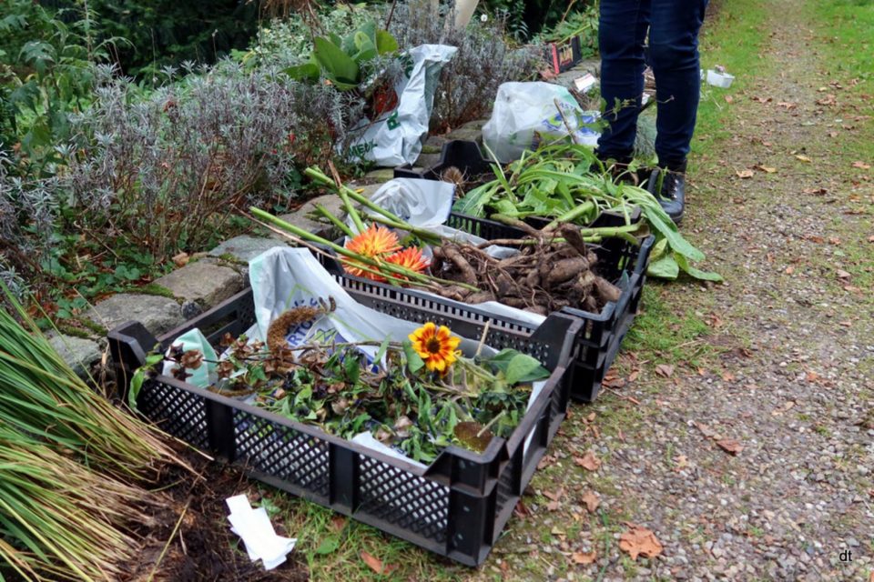 Plantenruilbeurs Groei & Bloei in Boekel