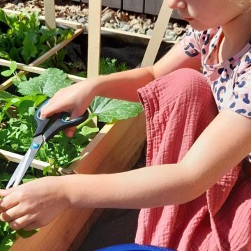 Smullen uit de moestuin