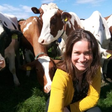 Workshops Familieopstellingen en Boerderijopstellingen