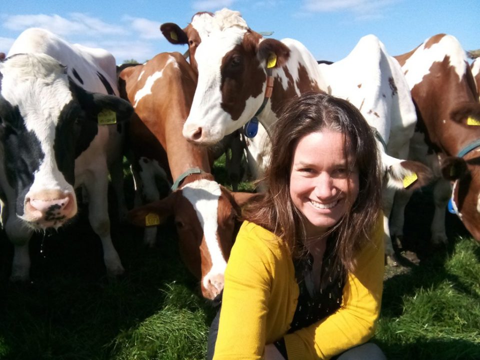 Workshops Familieopstellingen en Boerderijopstellingen